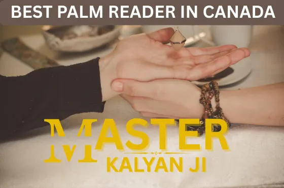 Head Reader Specialist